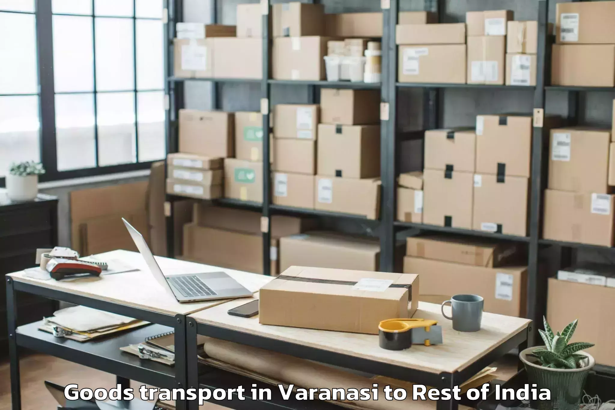 Book Varanasi to Dharpally Goods Transport Online